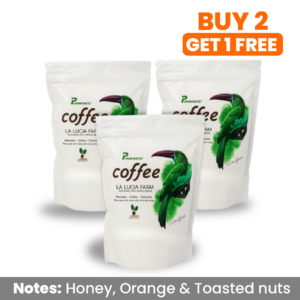 Piamonte - Whole Bean - 16 oz